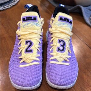 Mens size 11 LeBron James Nike Basketball Shoes - Purple and Yellow